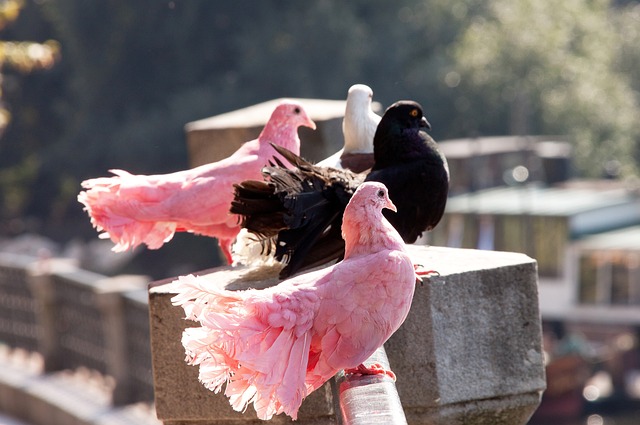 还注重心理 还注重心理