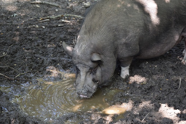 也在无形中 也在无形中
