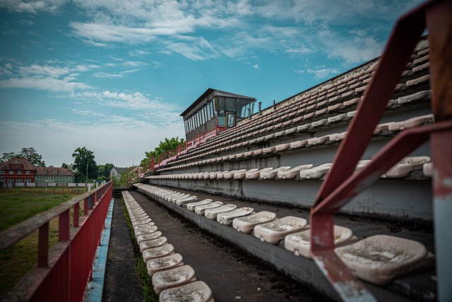 走运动员提 走运动员提