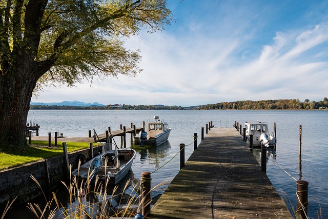 东契奇在训 东契奇在训