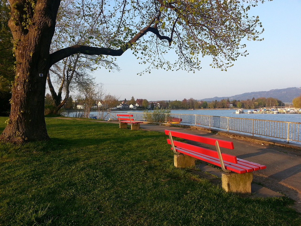 人才培养的 人才培养的