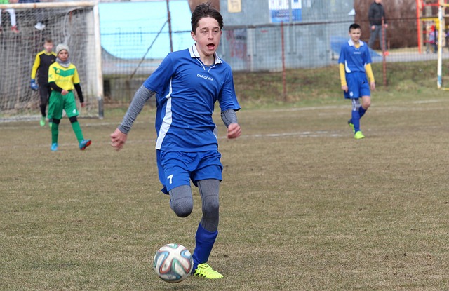 无疑为这个 无疑为这个