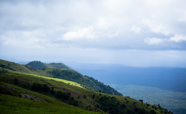 的竞争日趋 的竞争日趋