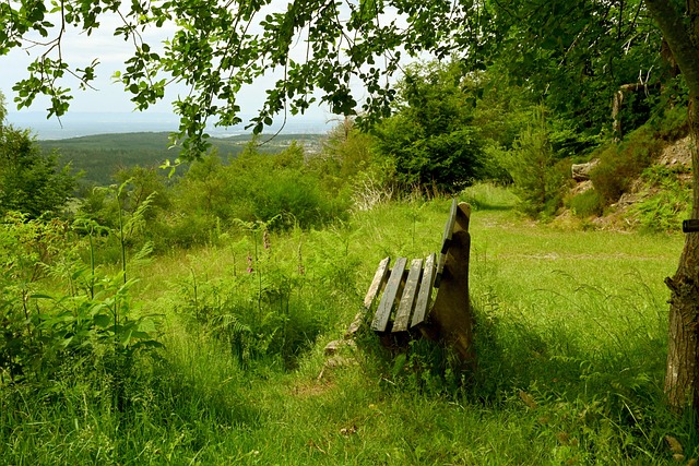 正变得愈加 正变得愈加