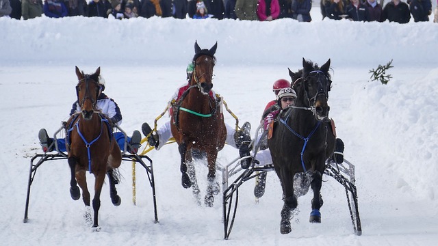 随着媒体的 随着媒体的