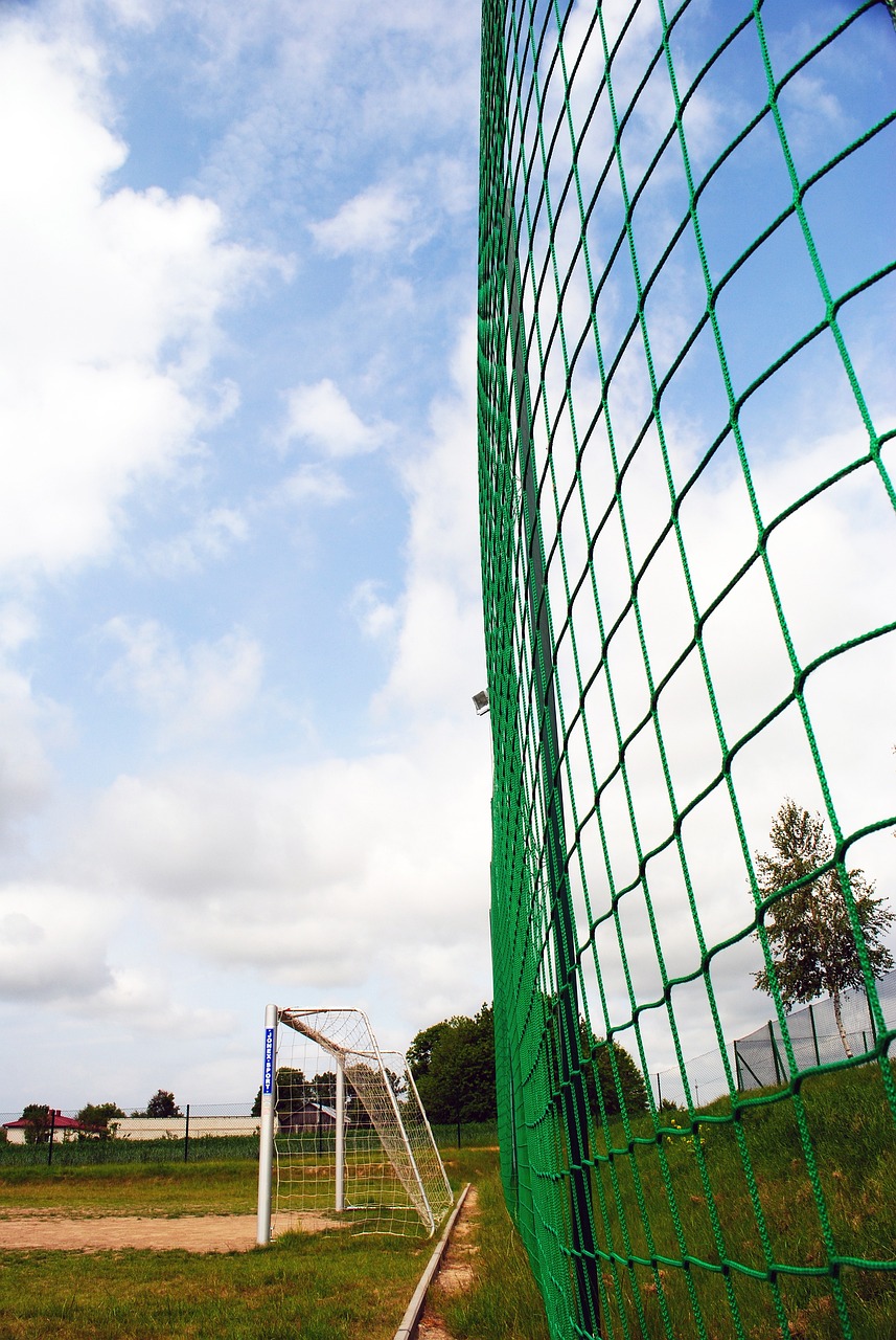 未能得到最 未能得到最