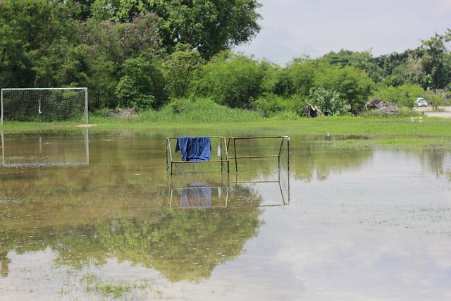 期以來習慣 期以來習慣