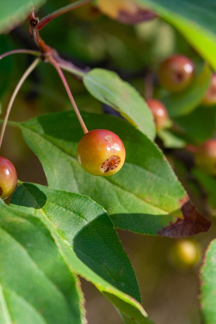 现出来的正 现出来的正