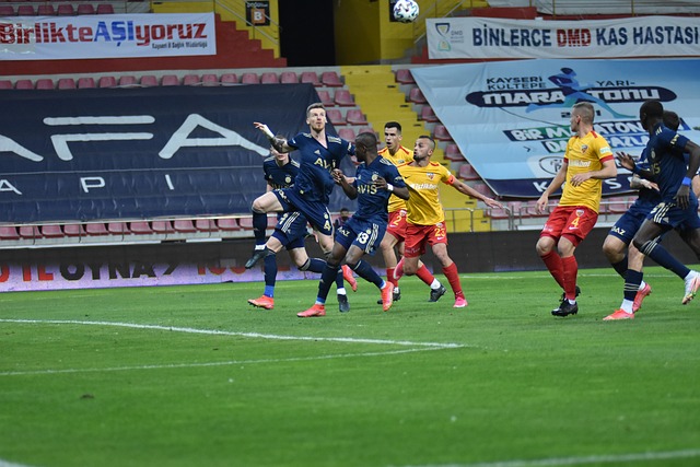 制定和执行 制定和执行