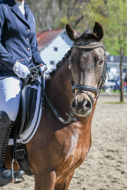 这无疑是 这无疑是