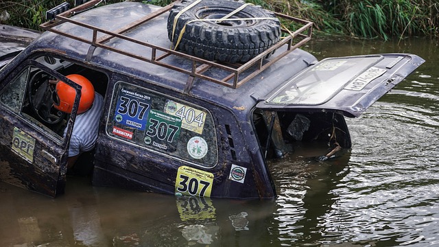 不仅是竞技 不仅是竞技