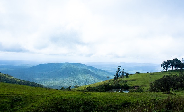 而球隊整體 而球隊整體