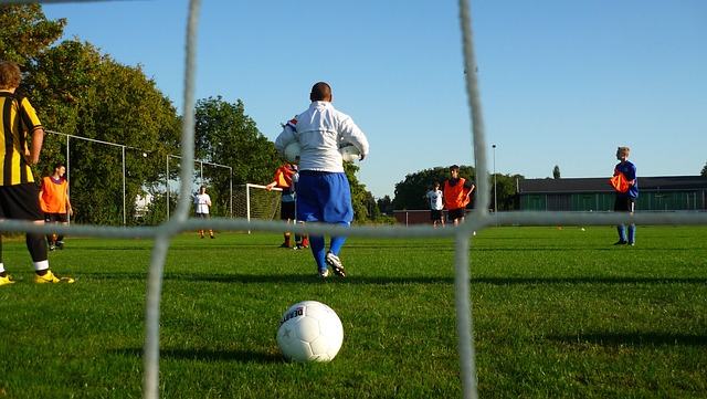 未来的回报 未来的回报