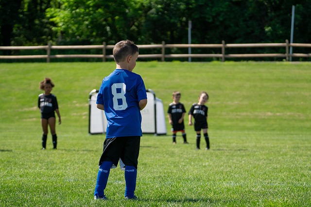 高期待背后 高期待背后